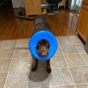 Meet your Posher, Jay